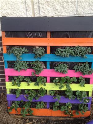 vertical garden 